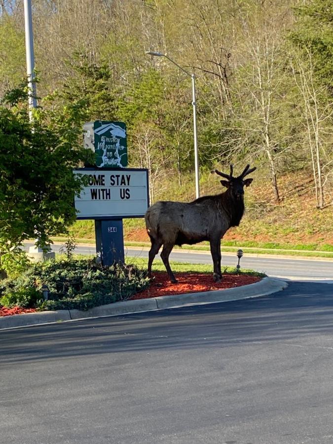 Smoky Mountain Inn & Suites Cherokee Exteriör bild